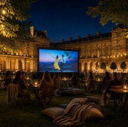 découvrez comment organiser une soirée film inoubliable autour du palais royal en streaming, avec des conseils pratiques pour une ambiance conviviale et originale.